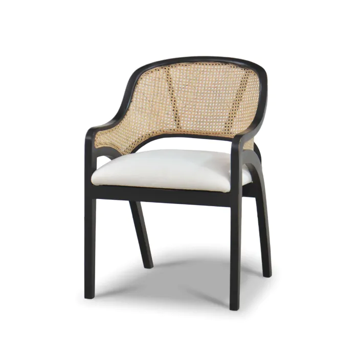 Mayfair 2025 dining chairs