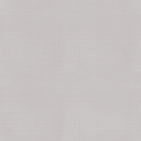 SF204